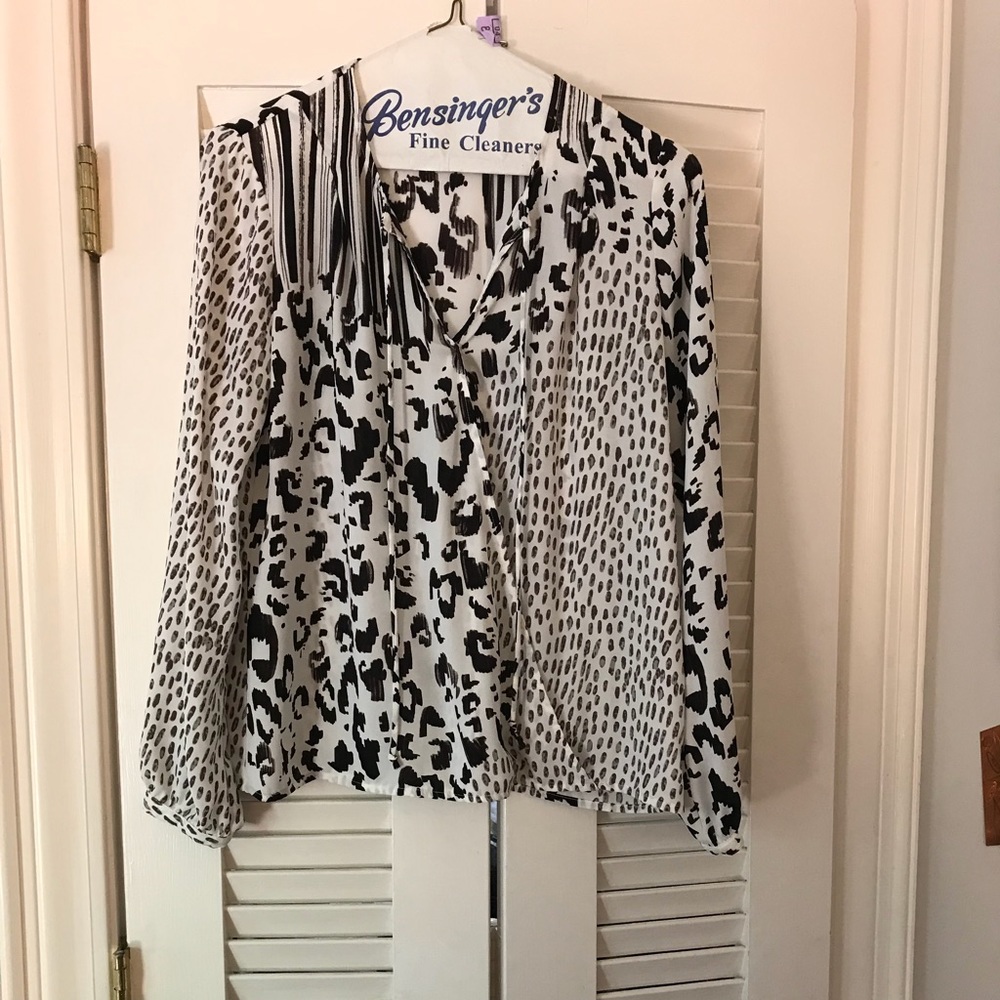 CAbi blouse